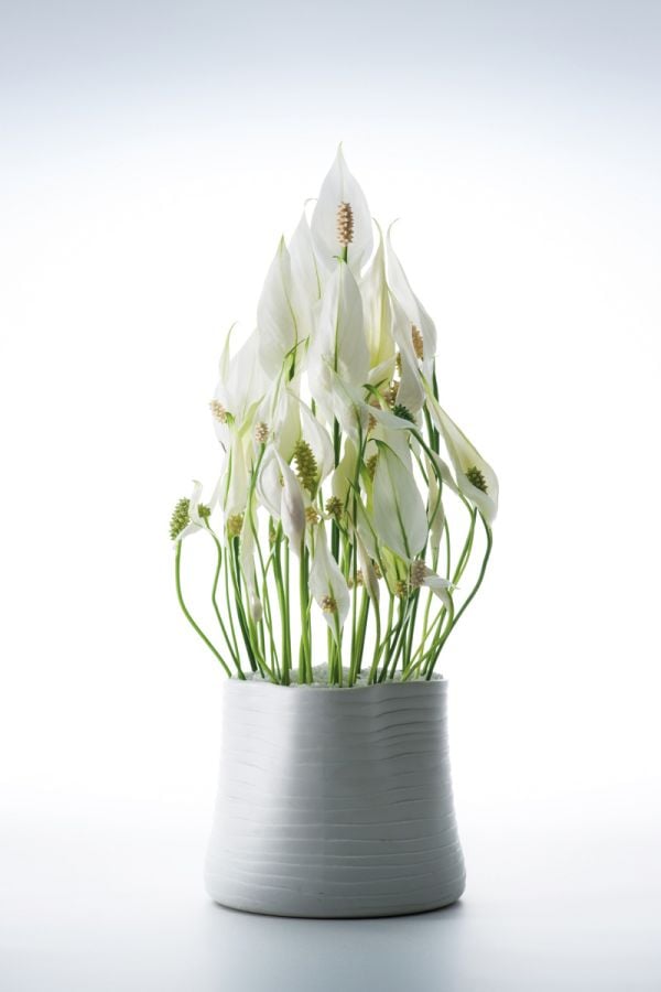 Black book cover of Koji Arai's The Eternal Flower, with a circular floral design of blue and purple flowers; clematis, hydrangea, orchid. Published by Stichting.