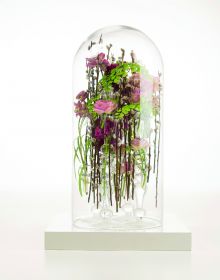 Techniques for Floral Beauty