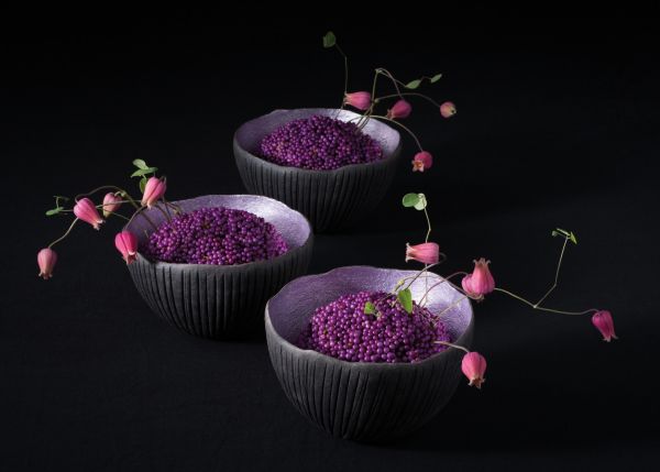 Black book cover of Hideyuki Niwa, Botanical Metamorphosis, with an aerial view of green lily pads surrounded by red roses. Published by Stichting.