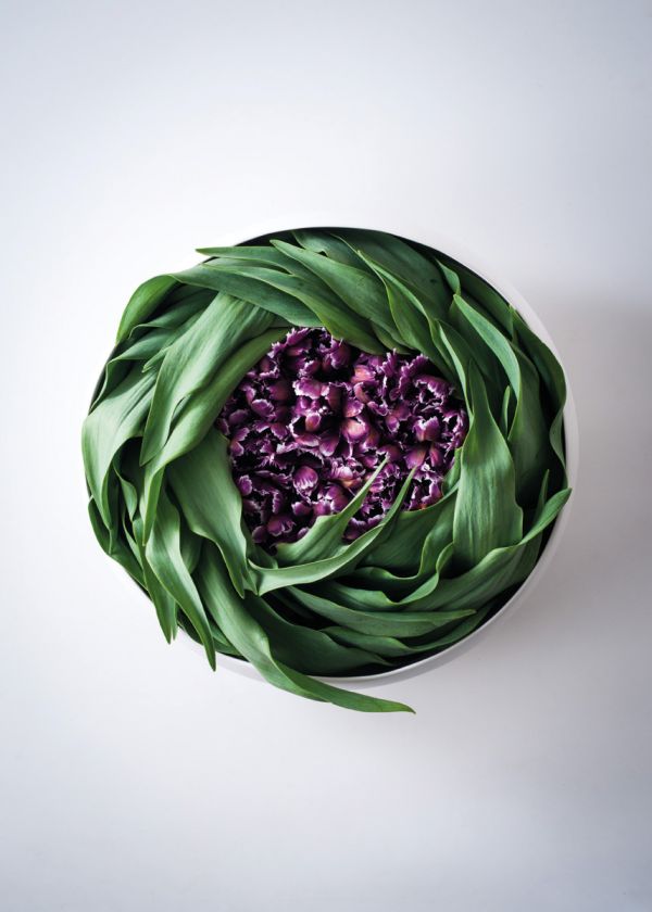 Black book cover of Hideyuki Niwa, Botanical Metamorphosis, with an aerial view of green lily pads surrounded by red roses. Published by Stichting.