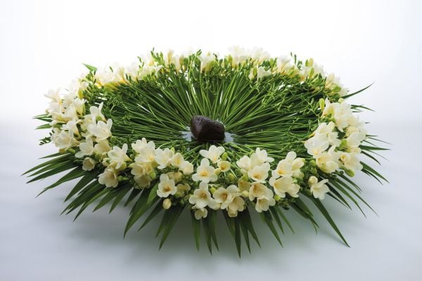 Black book cover of Hideyuki Niwa, Botanical Metamorphosis, with an aerial view of green lily pads surrounded by red roses. Published by Stichting.