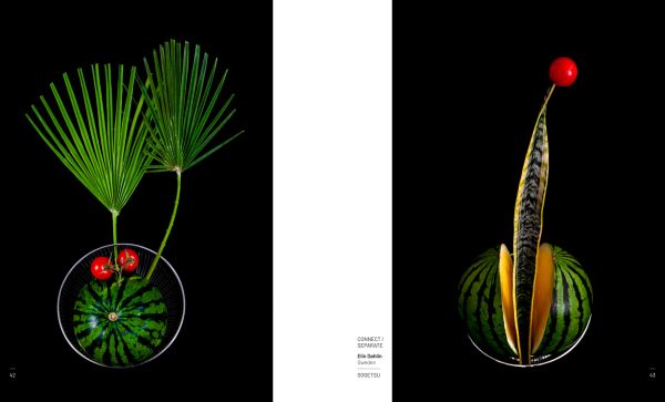 Book cover of Ikebana. Opposites Attract. Published by Stichting.