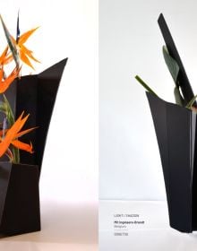 Book cover of Ikebana. Opposites Attract. Published by Stichting.
