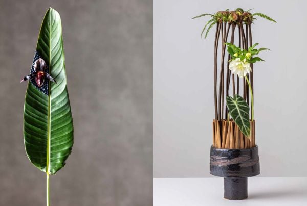 Book cover of Kazuhiro Sugimoto's Eternal Moment, with a beautiful red and yellow flame lily with wavy tepals. Published by Stichting.