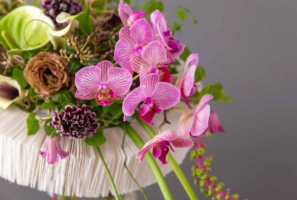 Book cover of Kazuhiro Sugimoto's Eternal Moment, with a beautiful red and yellow flame lily with wavy tepals. Published by Stichting.
