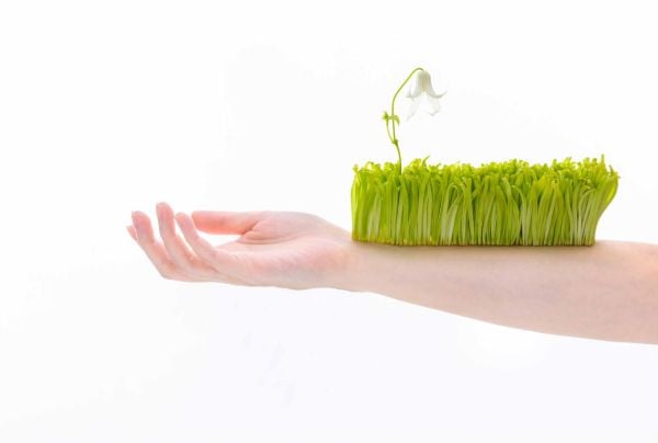 Book cover of Kazuhiro Sugimoto's Eternal Moment, with a beautiful red and yellow flame lily with wavy tepals. Published by Stichting.