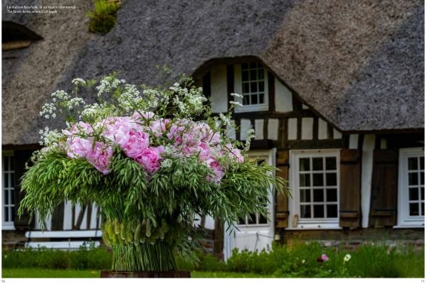 Book cover of Cédric Deshayes's Floral Poetry in Normandy, featuring a corkscrew hazel plant in glazed pot, with the chalk cliffs of Etretat and the sea behind. Published by Stichting.