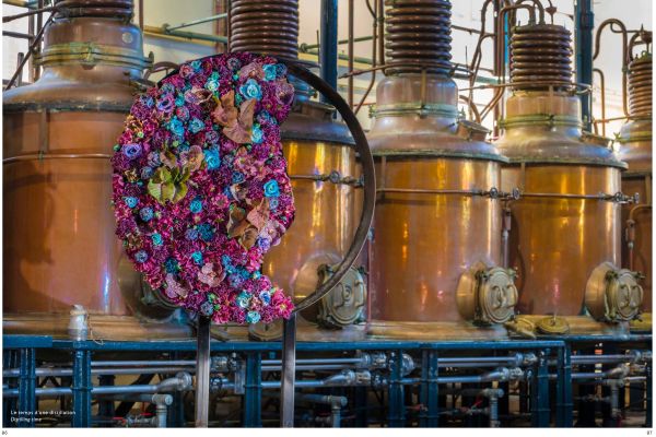 Book cover of Cédric Deshayes's Floral Poetry in Normandy, featuring a corkscrew hazel plant in glazed pot, with the chalk cliffs of Etretat and the sea behind. Published by Stichting.