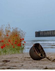 Book cover of Cédric Deshayes's Floral Poetry in Normandy, featuring a corkscrew hazel plant in glazed pot, with the chalk cliffs of Etretat and the sea behind. Published by Stichting.