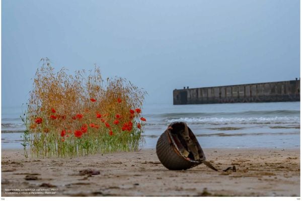 Book cover of Cédric Deshayes's Floral Poetry in Normandy, featuring a corkscrew hazel plant in glazed pot, with the chalk cliffs of Etretat and the sea behind. Published by Stichting.