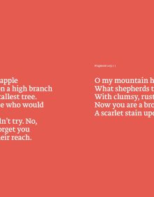 Red book cover of Love Letters. Published by Lannoo Publishers.