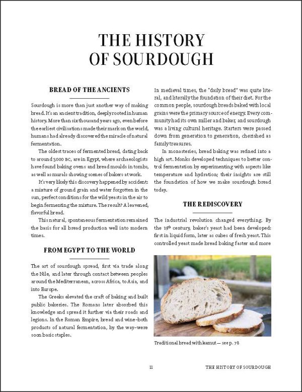 Book cover of The Sourdough Baking Book: From Sourdough Starter to Stunning Breads and Pastries; featuring a baker holding a tray of loaves of bread. Published by Lannoo Publishers.