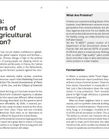 Book cover of Our Food Will be Fine: How technology and climate give us new food opportunities. Published by Lannoo Publishers.