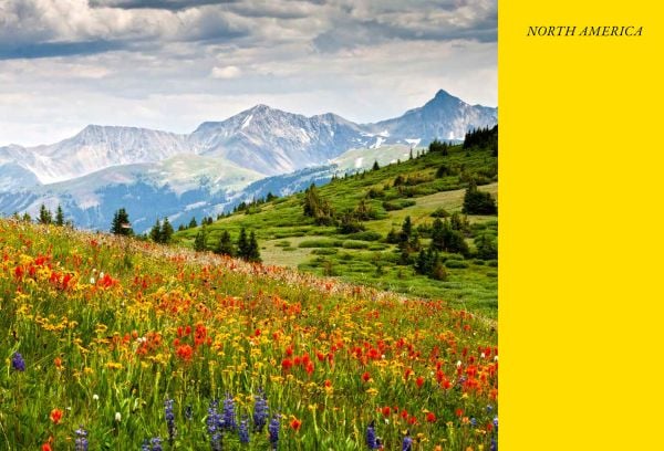 The Wildflower Travel Book