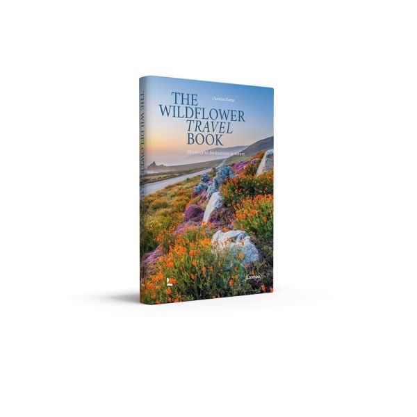 Book cover of The Wildflower Travel Book: 50 Colourful Destinations in Nature; featuring a vibrant coastal scene with blooming orange and purple wildflowers along a winding road. Published by Lannoo Publishers.