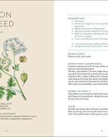 The Foraging Book