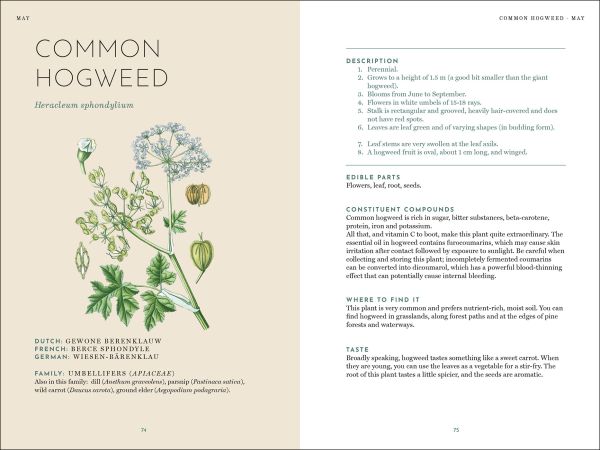 The Foraging Book