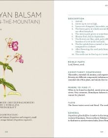 The Foraging Book