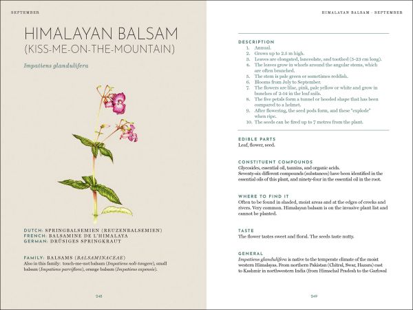 The Foraging Book