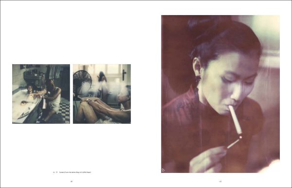 Book cover of Carmen de Vos: The Eyes of the Fox, featuring a women in long tartan dress and cropped blonde wig, walking down stairs holding bannister. Published by Exhibitions International.