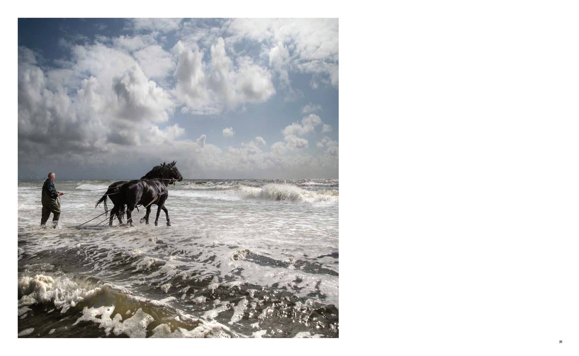 Dramatic landscape of stormy sea, dark clouds above, black sea birds skimming water, on cover of 'Landscape Photography', by Lannoo Publishers.