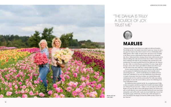 Figure in pink wellington boots, holding cream bucket filled with pink dahlias, surrounded by field of flowers, on cover of 'The Joy of Dahlias', by Lannoo Publishers.