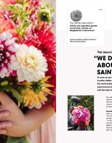 Figure in pink wellington boots, holding cream bucket filled with pink dahlias, surrounded by field of flowers, on cover of 'The Joy of Dahlias', by Lannoo Publishers.