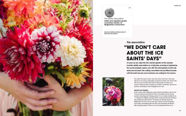 Figure in pink wellington boots, holding cream bucket filled with pink dahlias, surrounded by field of flowers, on cover of 'The Joy of Dahlias', by Lannoo Publishers.