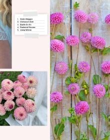 Figure in pink wellington boots, holding cream bucket filled with pink dahlias, surrounded by field of flowers, on cover of 'The Joy of Dahlias', by Lannoo Publishers.