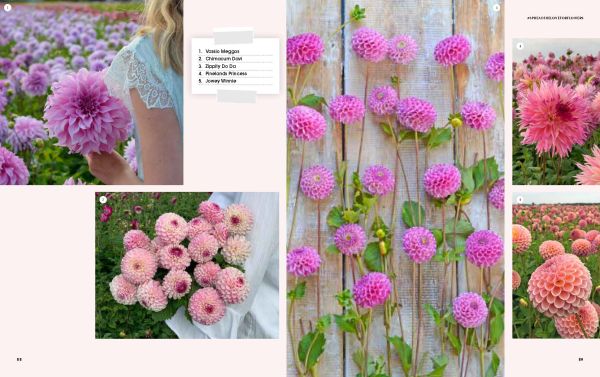 Figure in pink wellington boots, holding cream bucket filled with pink dahlias, surrounded by field of flowers, on cover of 'The Joy of Dahlias', by Lannoo Publishers.
