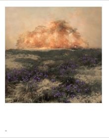 Painterly landscape of cloudy blue sky with tall white headed plants, obscuring river, on cover of 'Pictorial Landscape Photography, Saskia Boelsums', by Lanno Publishers.