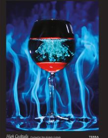 Stemmed cocktail glass containing red liquid, bright blue smoky background, on cover of 'High Cocktails, Psychoactive Non-Alcoholic Cocktails', by Lannoo Publishers.