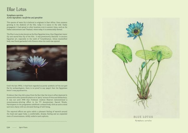 Stemmed cocktail glass containing red liquid, bright blue smoky background, on cover of 'High Cocktails, Psychoactive Non-Alcoholic Cocktails', by Lannoo Publishers.