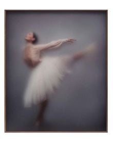 Ballet dancer falling backwards with transparent cracked craquelure cover, Casper Faassen Photographic Works in white font above.