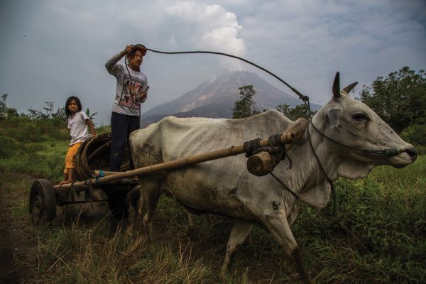 Book cover of Living With Volcanoes, with a spectacular shot of volcano spewing bright orange lava. Published by Lannoo Publishers.