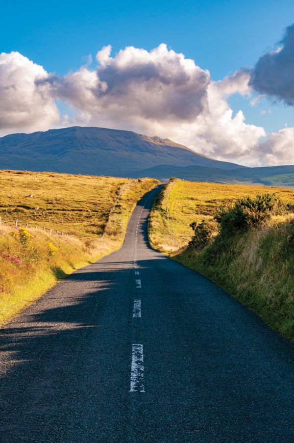 On the Road in Europe - ACC Art Books UK