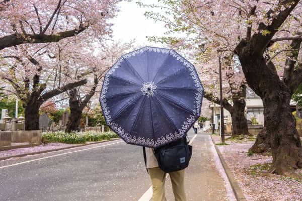 TOKYO 2020 アートブック　japanese photographer9 Yayoi Kusama 