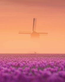The Beauty of the Netherlands