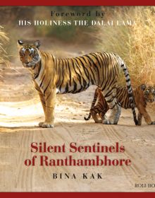 Silent Sentinels of Ranthambhore