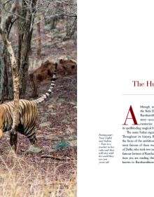 Silent Sentinels of Ranthambhore