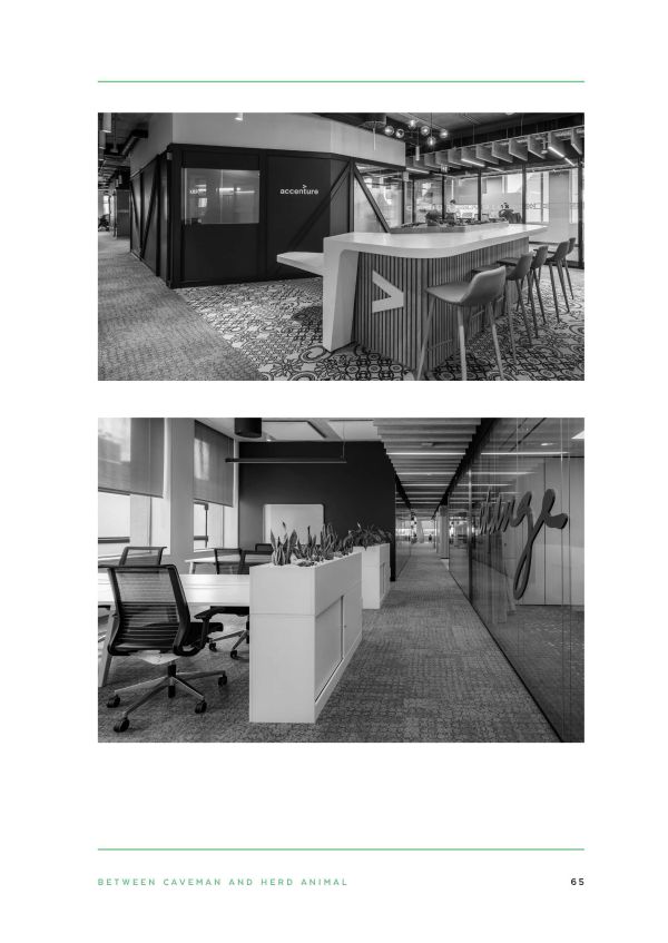 Book cover of Disruptive Workplaces. Published by Lannoo Publishers.