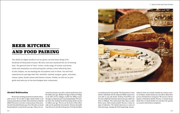 Book cover of The Belgian Beer Book, with a beer mat of table and two glasses of beer. Published by Lannoo Publishers.