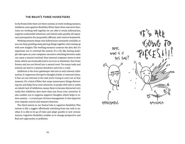 Book cover of Focus is the New Gold: How to Reduce Stress and Increase Productivity in a Distracted World, with a figure standing on top of mountain, playing a long instrument. Published by Lannoo Publishers.