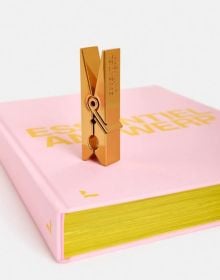 Book cover of Essentiel Antwerp: 25 Years. Published by Lannoo Publishers.