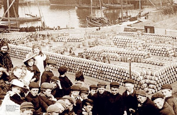 Book cover of Pure Malt Whisky Stories: 63 1/2 extraordinary single malt stories. Published by Lannoo Publishers.