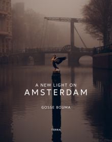 Book cover of A New Light on Amsterdam, with a misty view of a canal, and a bird flapping its wings while perched on a post. Published by Lannoo Publishers.