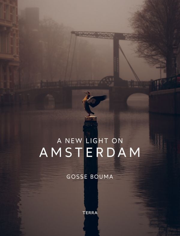 Book cover of A New Light on Amsterdam, with a misty view of a canal, and a bird flapping its wings while perched on a post. Published by Lannoo Publishers.