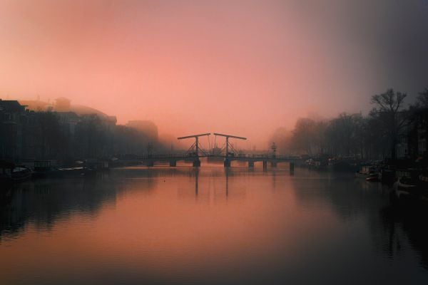 Book cover of A New Light on Amsterdam, with a misty view of a canal, and a bird flapping its wings while perched on a post. Published by Lannoo Publishers.