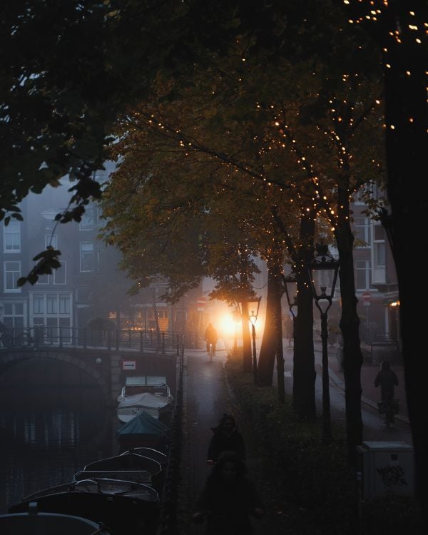 Book cover of A New Light on Amsterdam, with a misty view of a canal, and a bird flapping its wings while perched on a post. Published by Lannoo Publishers.