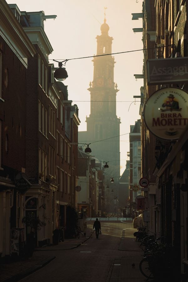 Book cover of A New Light on Amsterdam, with a misty view of a canal, and a bird flapping its wings while perched on a post. Published by Lannoo Publishers.